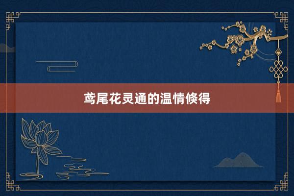 鸢尾花灵通的温情倏得