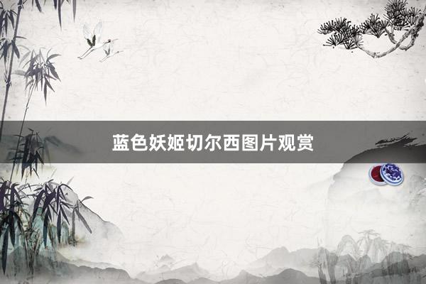 蓝色妖姬切尔西图片观赏