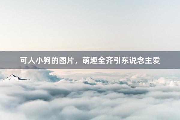 可人小狗的图片，萌趣全齐引东说念主爱
