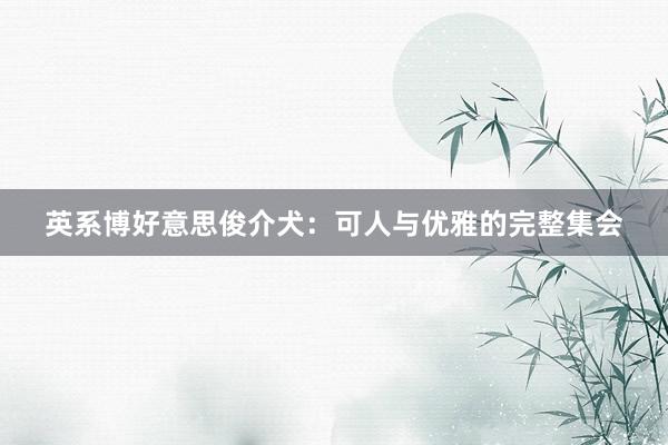英系博好意思俊介犬：可人与优雅的完整集会