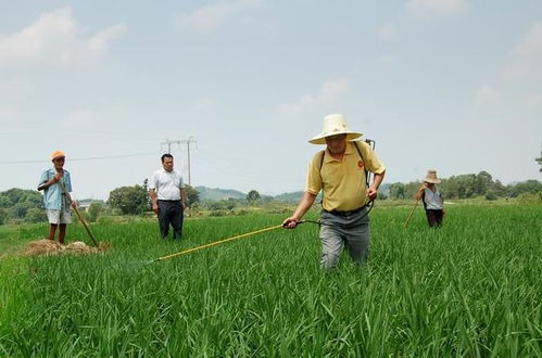 济南藏龙电子商务有限公司